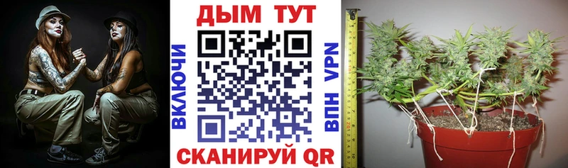 Купить закладку КЕТАМИН  Канабис  COCAIN  Меф  Гашиш  Псилоцибиновые грибы  Ленинск