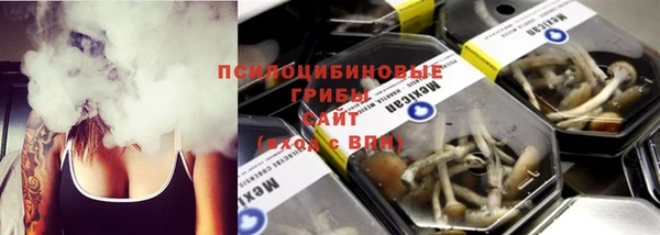 индика Ладушкин