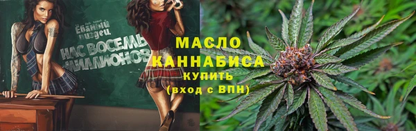 индика Ладушкин