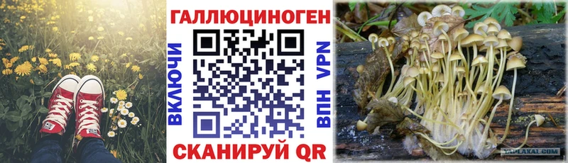 Купить  Ленинск  Псилоцибиновые грибы мухоморы 